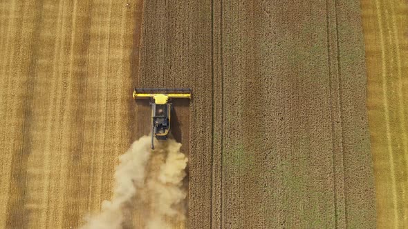 Harvester Harvests Wheat Crop On Field