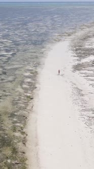 Vertical Video of a Coastal Landscape in Zanzibar Tanzania