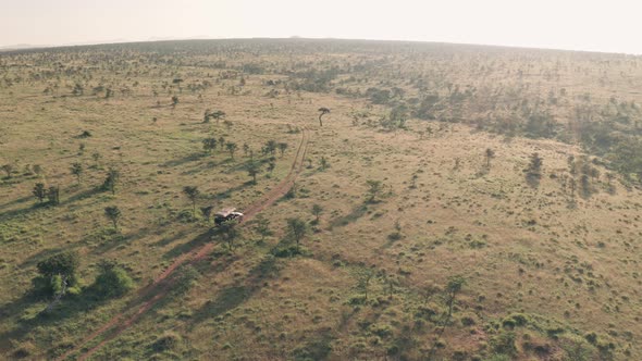 Driving on wildlife safari vacation in Kenya, Africa. Static high aerial drone view