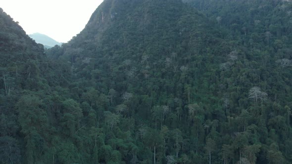 Aerial: drone flying over natural rainforest green jungle steep valley canyon