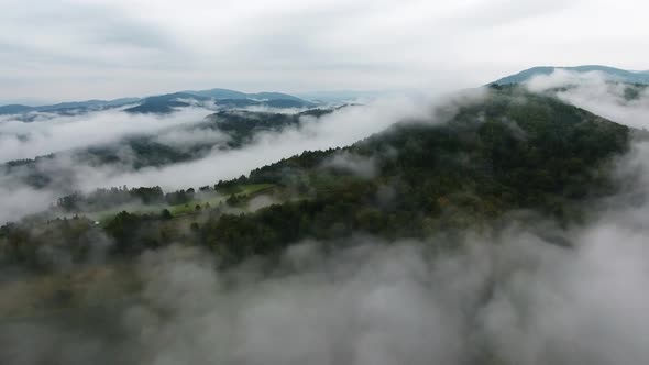 Mountain Forest Fog Mist Aerial