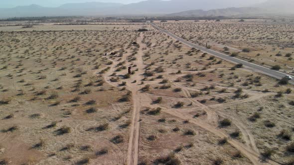 Expansive aerial pan-up of the dry desert and metal sculptures near Borrego Springs, California.