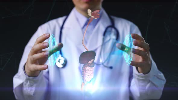 Doctor Working With Holographic Scan Projection 3D Rendering, Digestive System