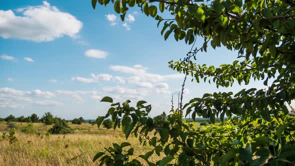 Moving Clouds in Blue Sky Above Landscape Fields and Trees. Timelapse. Amazing Rural Valley. Ukraine