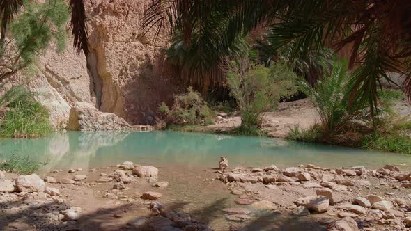 Chebika mountain oasis. Tozeur Governorate.