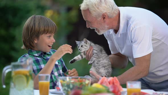 Grandpa Presenting Long-Awaited Kitten to Grandson, Surprise Gift, Anticipation