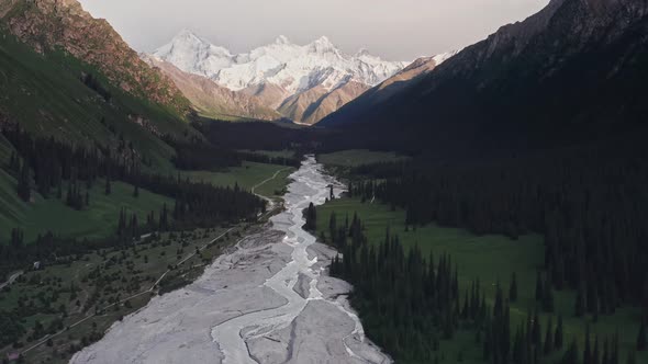 Mountains and trees at sunset