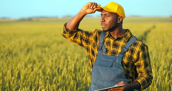 Portrait of a Male Farmer in a Wheat Field