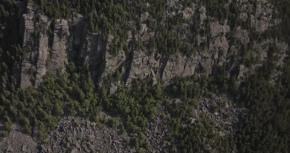 Aerial Drone Shot Flying Towards Forest On Mountain Side