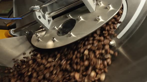 Fragrant Roasted Coffee Beans are Poured Into an Industrial Mixing and Cooling Machine at the