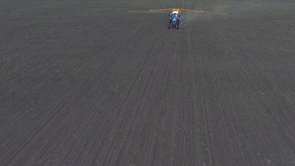 The Tractor Rides and Sprays the Fertilizer on the Crop Planted on the Field, Shooting From the Air