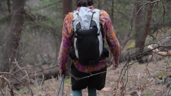 A Young Long-haired White Man in a Cap with a Backpack and Tracking Sticks Walks Along a Forest