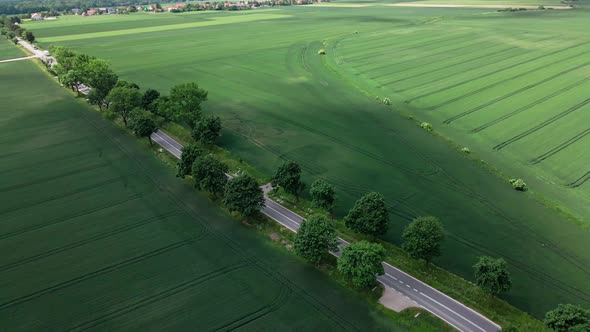 Cars Moving on Road Between Agricultural Fields Aerial View