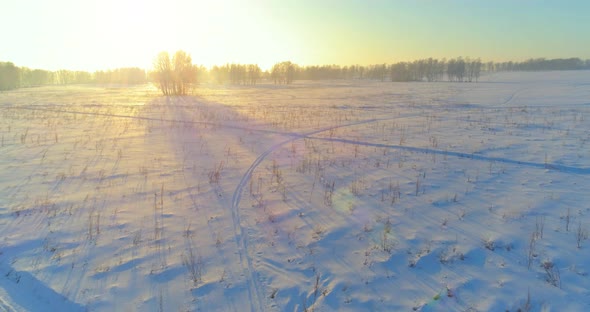 Aerial Drone View of Cold Winter Landscape with Arctic Field Trees Covered with Frost Snow and