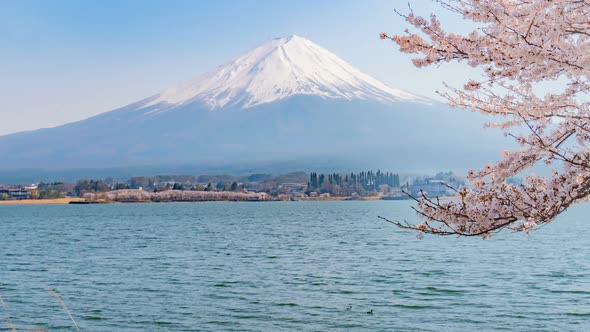 Mt. Fuji At Kawaguchiko Lake