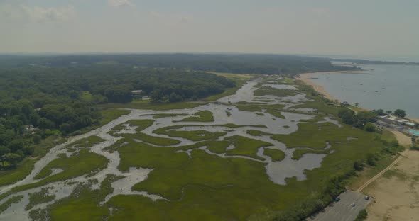 Backwards Aerial of Green Grass Reeds Near Sandy Beach and Forest