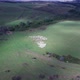 Sheep flock on green alpine pasture aerial timelapse - VideoHive Item for Sale