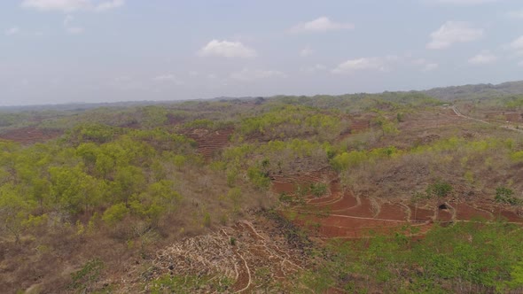 Agricultural Landscape in Asia