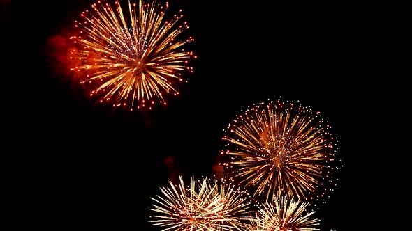 Many flashing colorful fireworks in event amazing with black background celebrate New Year.