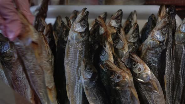 Hand Shows Dried Salted Smelt Fish on Counter in Fish Market