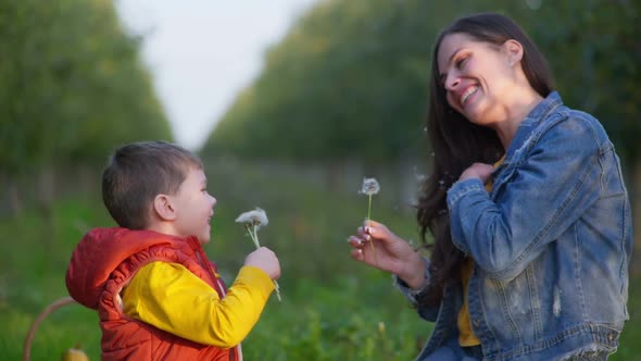 Mom Enjoys Playing in Garden with Son and Cheerfully Blowing Dandelions in Each Others Faces During