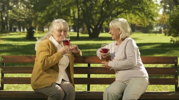 Two Elderly Women Enjoying Wine and Chatting on Bench in Park Happy Golden Years