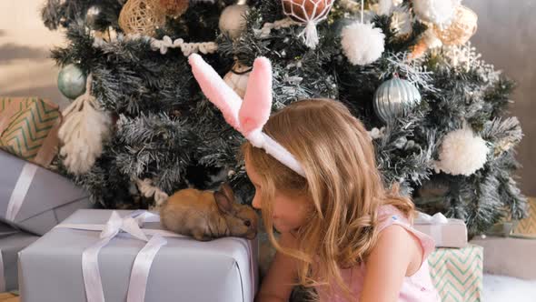 Little Girl with Cute Rabbit Near Christmas Tree