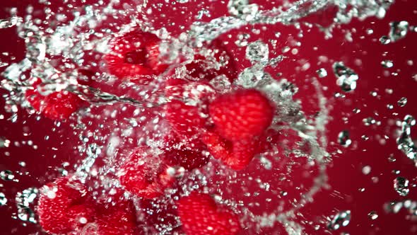 Super Slow Motion Shot of Flying and Splashing Fresh Raspberries on Red Background at 1000Fps