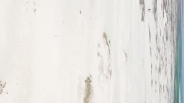 Vertical Video of Low Tide in the Ocean Near the Coast of Zanzibar Tanzania Aerial View