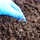 Earthworm African Night Crawler in bio fertilizer concept. - VideoHive Item for Sale