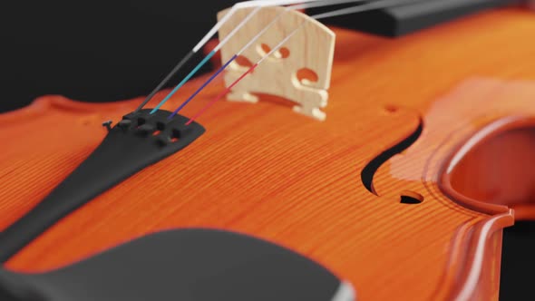 Close up violin isolated on black background