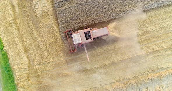 Harvesting. Combine Harvester Harvesting Wheat