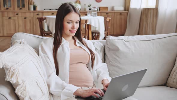 Young Pregnant Woman Freelancer Writes Article on Laptop