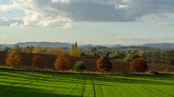 Slow zoom time lapse of fall foliage and green fields