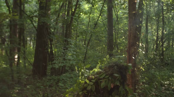 Sniper in Disguise Hood Cape Putting on Camouflage Net on Sniper Rifle alt