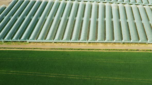 Aerial View of Agriculture Greenhouse for Growing Plants and Vegetables Near the Green Field