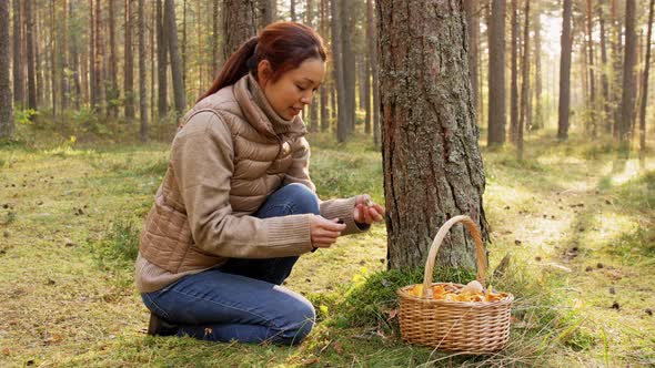 Young Woman Picking Mushrooms in Autumn Forest