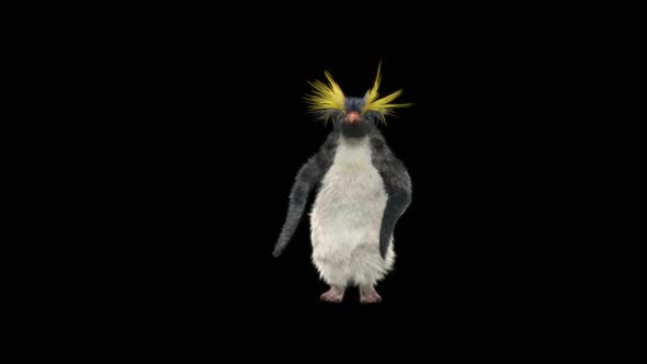 Penguin Dancing HD