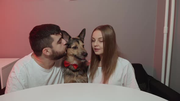 Dog in a Red Festive Bow Tie