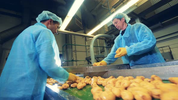 Men Cut Potatoes on a Modern Conveyor at a Food Factory