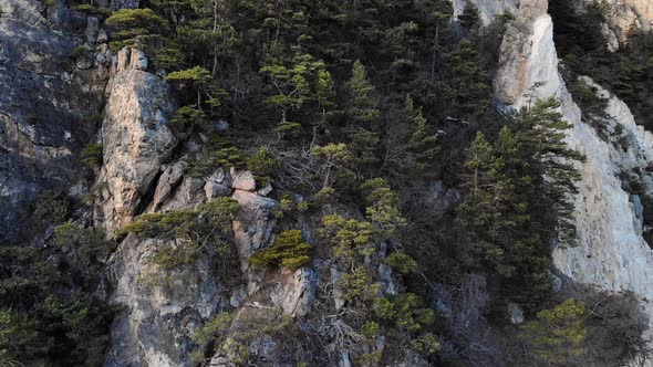 Aerial View of a Rocky Wall in the Mountains Covered with Juniper