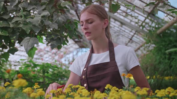 The Girl Inspector in the Apron Checks and Counts the Flowers in the Greenhouse Keeps Their Records