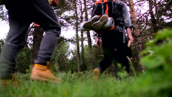 Group Of Hikers Walking In Forest