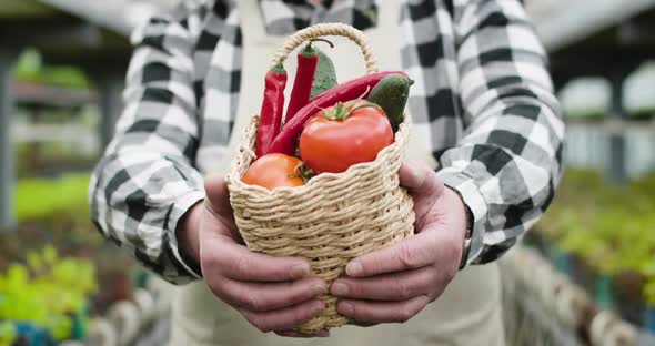 Close-up of Mature Male Caucasian Hands Showing Basket with Tomatoes, Cucumbers, and Hot Pepper To