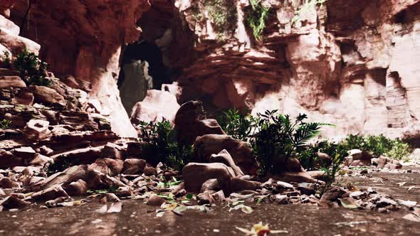 Large Fairy Rocky Cave with Green Plants