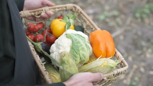 Farmer Holding a Box of Freshly Picked Organic Vegetables