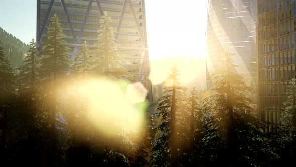 City Skyline with Urban Skyscrapers at Sunset alt