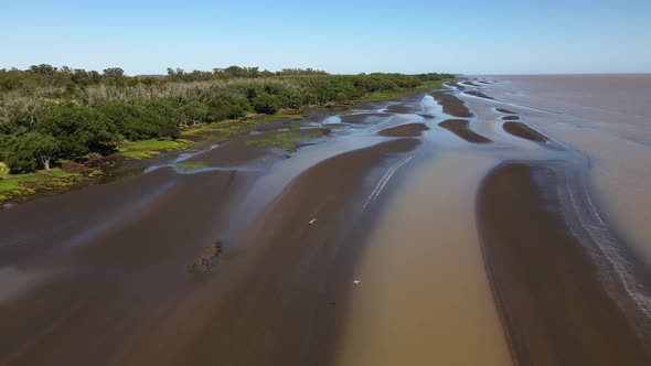 Aerial of sandy swamps by Rio de la Plata, flying seagulls visible