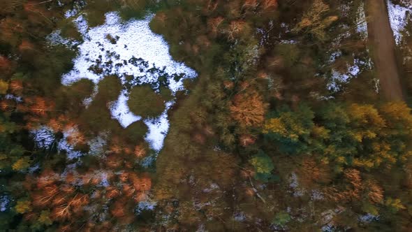 Birds Eye View Drone Shot of a Forest with Some Snow on the Ground