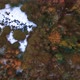 Birds Eye View Drone Shot of a Forest with Some Snow on the Ground - VideoHive Item for Sale